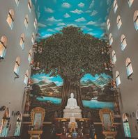 Trang Avatar - TPHCM Today