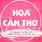 Elli Avatar - TPHCM Today