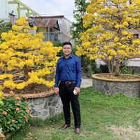 Lương Avatar - TPHCM Today