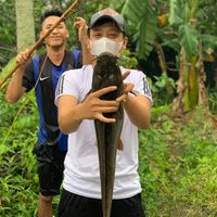 Trọng Avatar - TPHCM Today