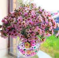 Phi Phượng Avatar - TPHCM Today Phi Phượng Avatar - TPHCM Today