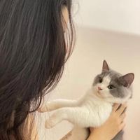 Hiếu Avatar - TPHCM Today Hiếu Avatar - TPHCM Today