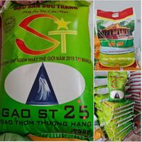 Ngọc Avatar - TPHCM Today