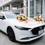 Vỹ Avatar - TPHCM Today