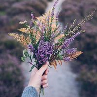 Bư Avatar - TPHCM Today