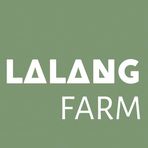 Lalang Avatar - TPHCM Today