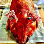 Tý Avatar - TPHCM Today