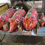 Kissbi Avatar - TPHCM Today