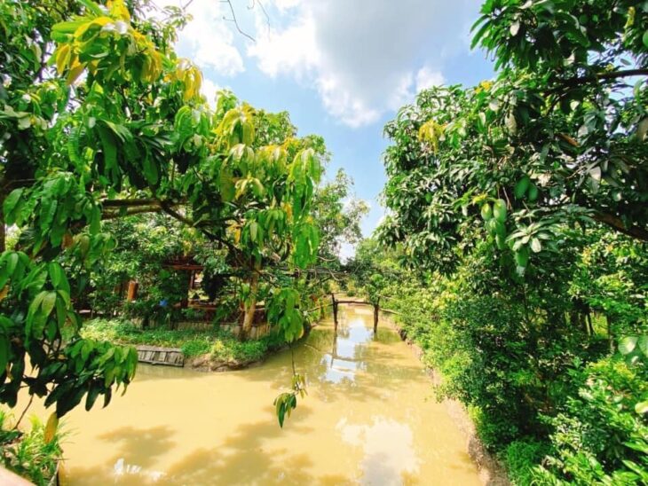 DU LỊCH SINH THÁI VƯỜN TRÁI CÂY PHI YẾN