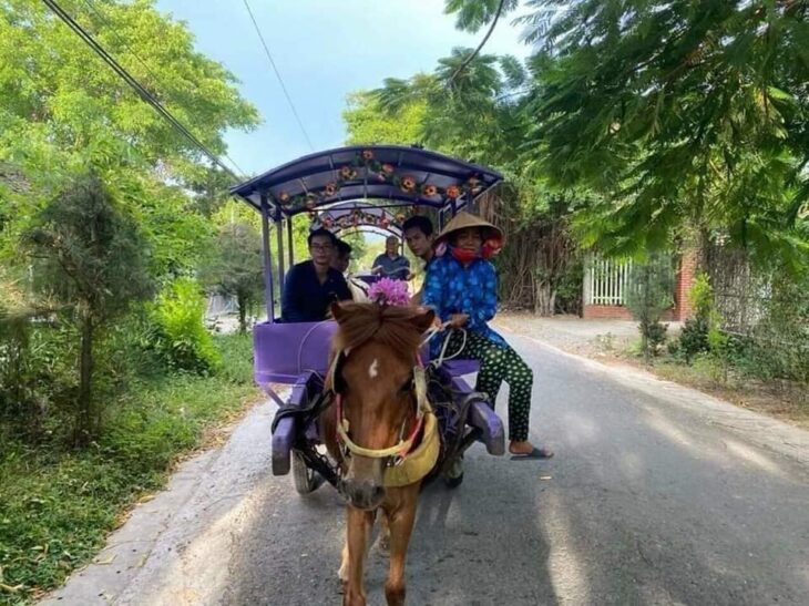 Tham quan trên sông Tiền, ngắm nhìn 4 cù lao Tứ Linh: Long, Lân, Quy, Phụng