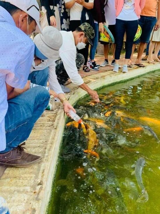 Tham quan trên sông Tiền, ngắm nhìn 4 cù lao Tứ Linh: Long, Lân, Quy, Phụng
