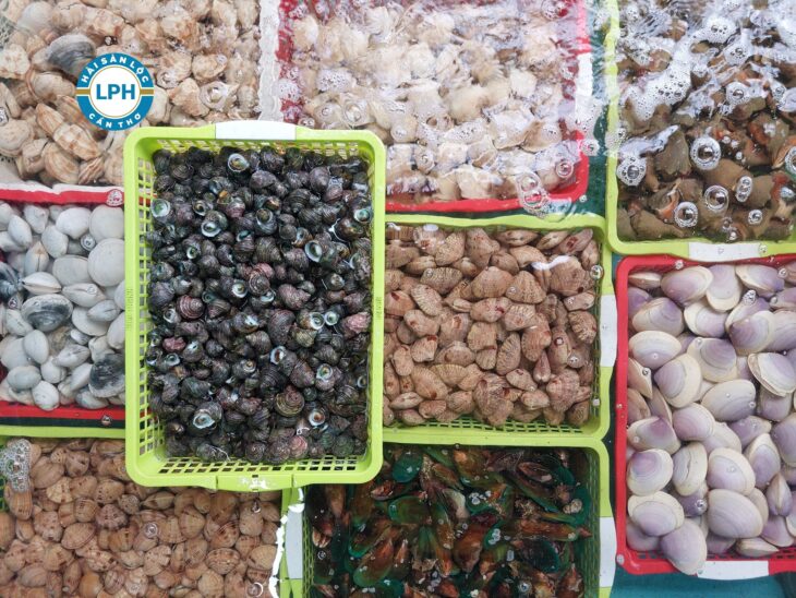 Hải Sản Lộc Cần Tuyển các vị trí: NAM Hải Sản Lộc Cần Tuyển các vị trí: NAM