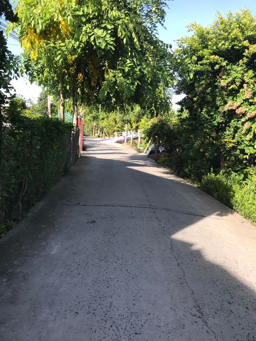 Bán đất cây lâu năm Trung Hưng cờ đỏ mặt tiền lộ – mặt tiền sông lớn