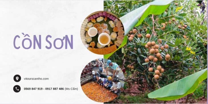 CHƯƠNG TRÌNH TOUR TRỌN GÓI CỒN SƠN