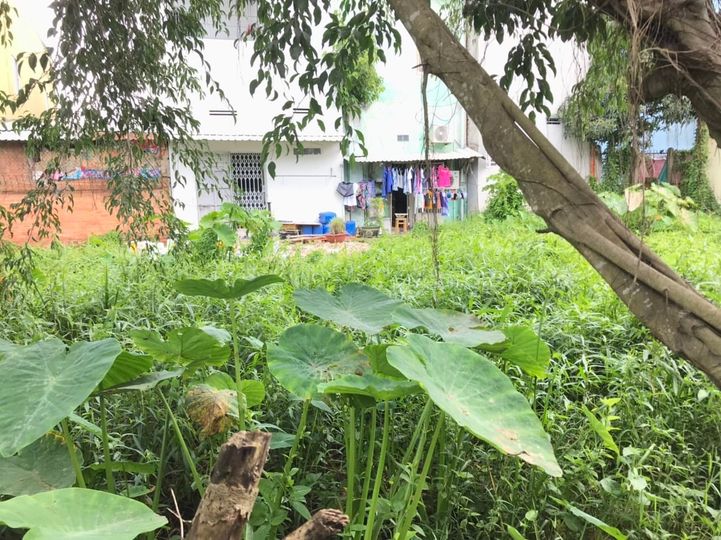 Nền hẻm 67 thông qua hẻm 35 nguyễn thông, an thới, cần thơ.