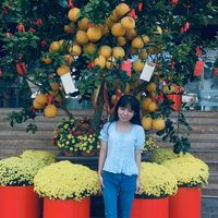 Ngọc Yến Avatar - TPHCM Today Ngọc Yến Avatar - TPHCM Today