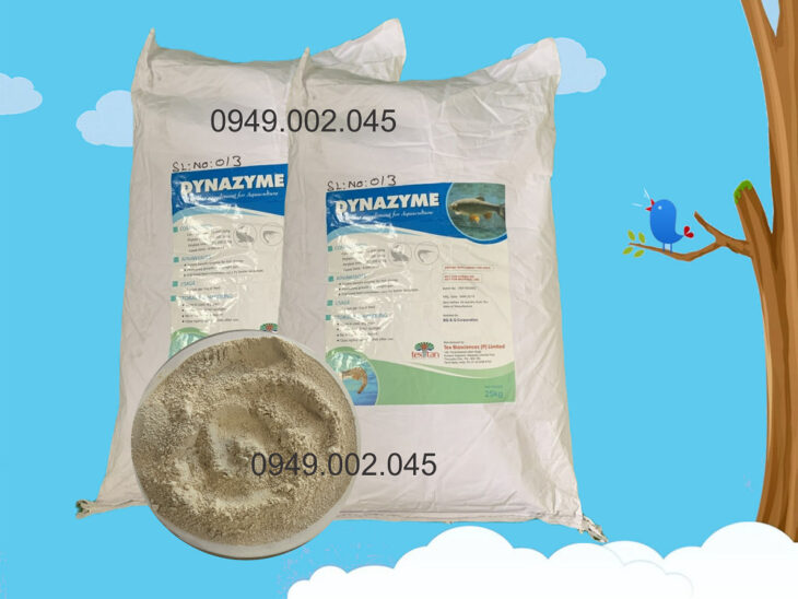 Dynazyme – Enzyme hỗn hợp hỗ trợ tiêu hóa cho vật nuôi Dynazyme – Enzyme hỗn hợp hỗ trợ tiêu hóa cho vật nuôi