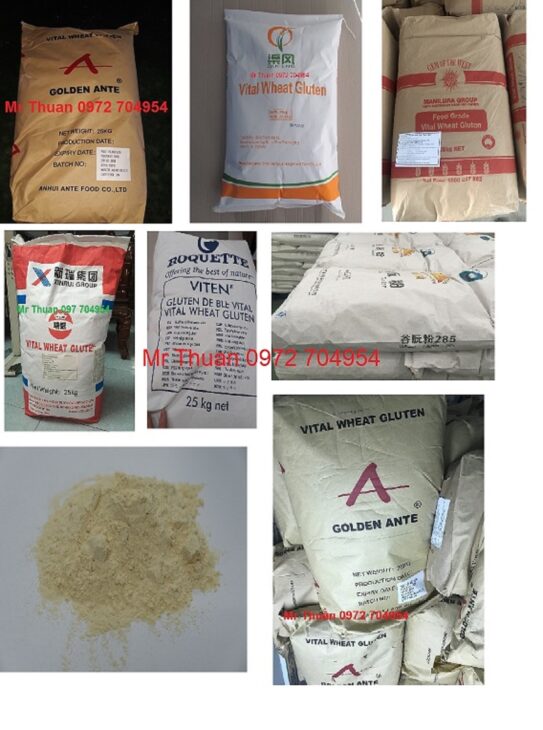 Nguyên liệu thực phẩm Bột mì căn Gluten lúa mì ( Vital Wheat Gluten, Wheat gluten, gluten, Wheat Mea Nguyên liệu thực phẩm Bột mì căn Gluten lúa mì ( Vital Wheat Gluten, Wheat gluten, gluten, Wheat Mea