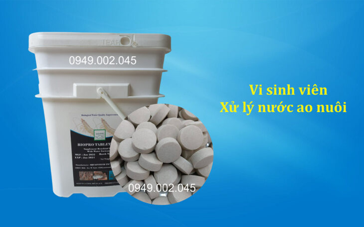 Biopro Tablet – Vi sinh Mỹ dạng viên giúp làm sạch đáy ao nuôi tôm cá Biopro Tablet – Vi sinh Mỹ dạng viên giúp làm sạch đáy ao nuôi tôm cá