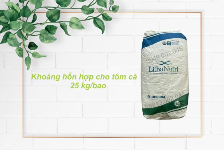 Lithonutri Powder – Khoáng tạt, khoáng trộn dạng bột cho tôm cá Lithonutri Powder – Khoáng tạt, khoáng trộn dạng bột cho tôm cá