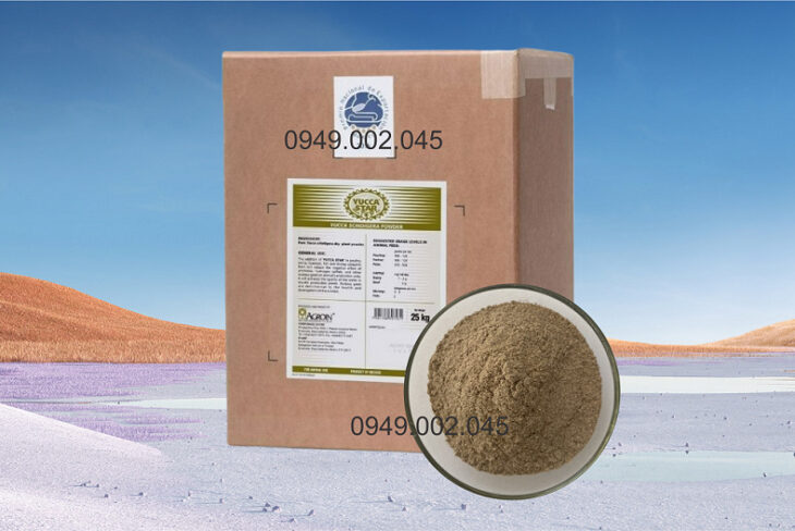 Yucca Star Powder – Yucca bột Mexico giúp hấp thu khí độc Yucca Star Powder – Yucca bột Mexico giúp hấp thu khí độc