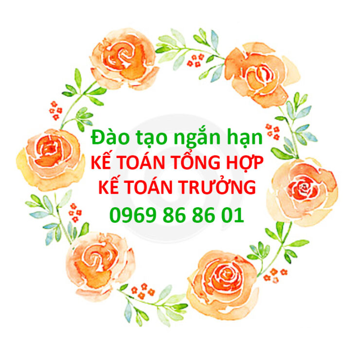 Quyên Avatar - TPHCM Today