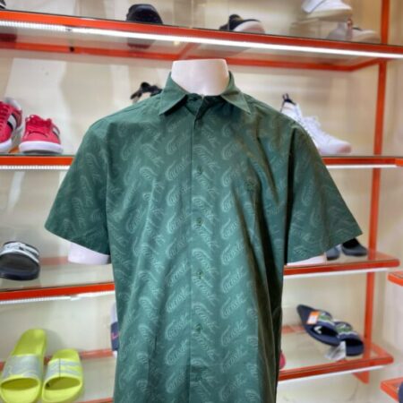 Sơ mi cá sấu Sơ mi cá sấu