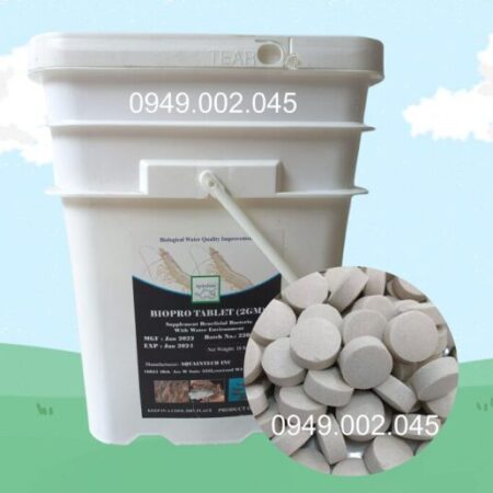 Biopro Tablet – Vi sinh viên giúp làm sạch đáy ao nuôi tôm cá Biopro Tablet – Vi sinh viên giúp làm sạch đáy ao nuôi tôm cá