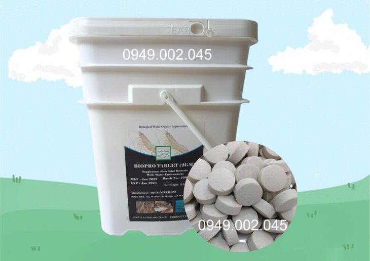 Biopro Tablet – Vi sinh viên giúp làm sạch đáy ao nuôi tôm cá