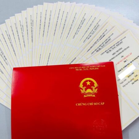 Đào tạo CHỨNG CHỈ SƠ CẤP VẬN TẢI ĐƯỜNG BỘ để đăng ký kinh doanh vận tải, đổi biển vàng