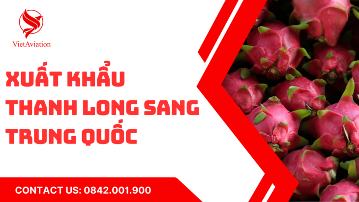 Xuất khẩu thanh long sang trung Quốc