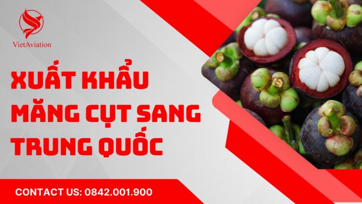 Xuất khẩu măng cụt sang Trung Quốc