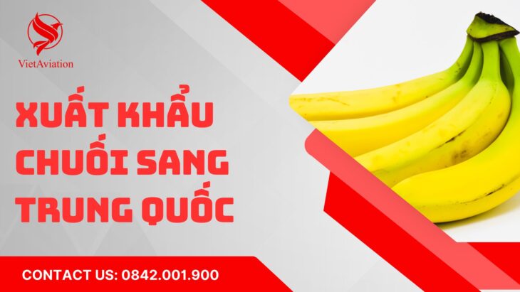 Xuất khẩu chuối sang Trung Quốc
