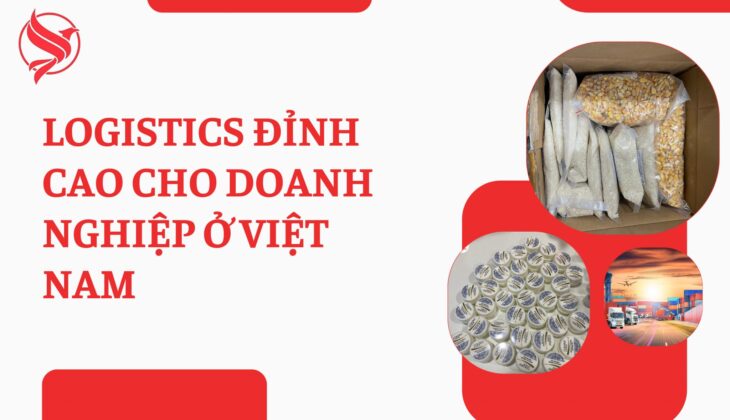 Tối ưu hóa hiệu quả vận hành: Logistics đỉnh cao cho doanh nghiệp ở Việt Nam