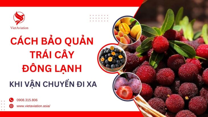 Cách bảo quản trái cây đông lạnh khi vận chuyển đường xa