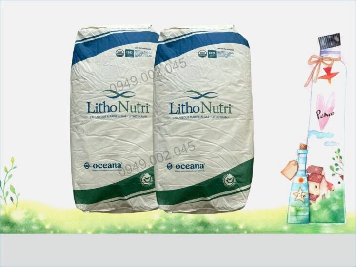 Lithonutri Powder – Khoáng tạt, khoáng trộn dạng bột cho tôm cá