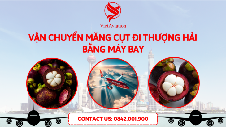 Vận chuyển măng cụt đi Thượng Hải ( Shanghai) bằng máy bay