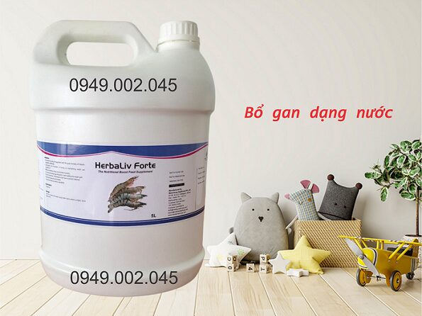 Herbaliv Forte – Bổ gan thảo dược dạng nước Ấn Độ cho tôm cá Herbaliv Forte – Bổ gan thảo dược dạng nước Ấn Độ cho tôm cá