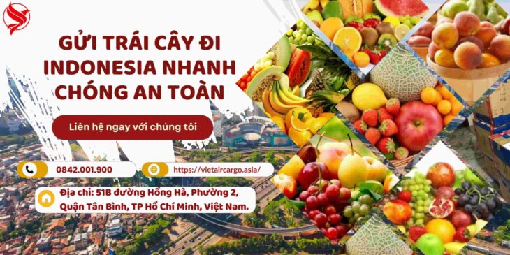 Gửi Trái Cây Đi Indonesia Nhanh Chóng An Toàn Gửi Trái Cây Đi Indonesia Nhanh Chóng An Toàn