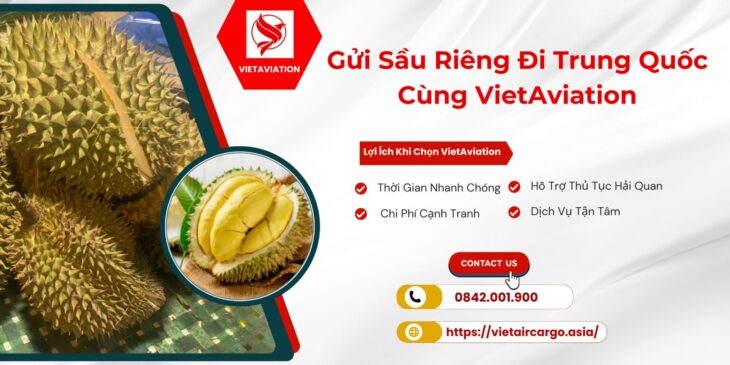 Gửi Sầu Riêng Đi Trung Quốc Cùng VietAviation Gửi Sầu Riêng Đi Trung Quốc Cùng VietAviation