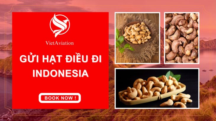 Gửi Hạt Điều Đi Indonesia Gửi Hạt Điều Đi Indonesia