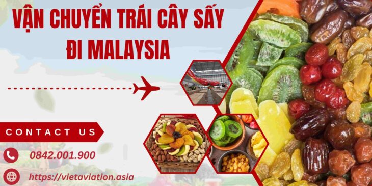 Vận chuyển trái cây sấy đi Malaysia Vận chuyển trái cây sấy đi Malaysia