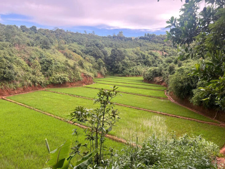 Bán Đất làm Homestay, Farmstay