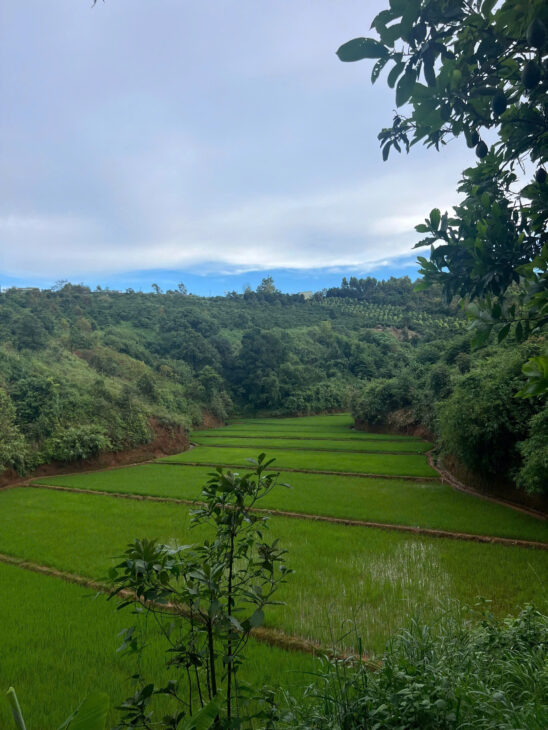 Bán Đất làm Homestay, Farmstay