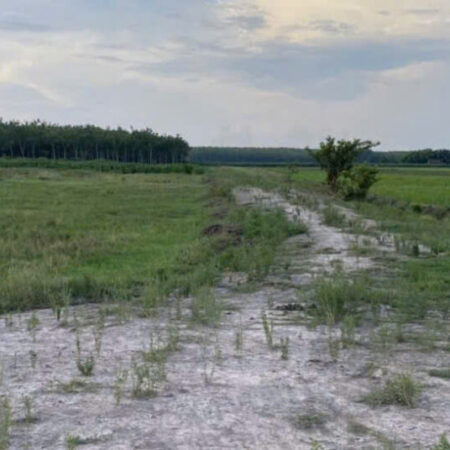 HÓT ĐẤT ĐẸP – GIÁ Tốt – Vị Trí Tại : Ấp Suối Ông Đinh – Trà Vong – Tân Biên – Tỉnh Tây Ninh