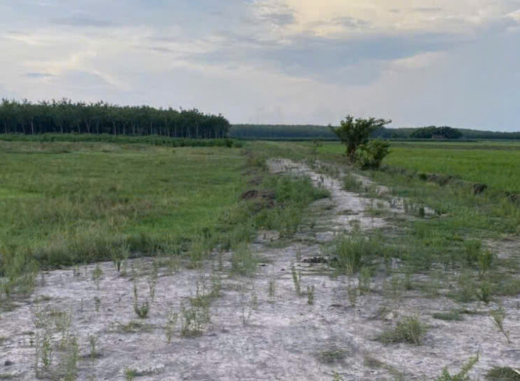 HÓT ĐẤT ĐẸP – GIÁ Tốt – Vị Trí Tại : Ấp Suối Ông Đinh – Trà Vong – Tân Biên – Tỉnh Tây Ninh