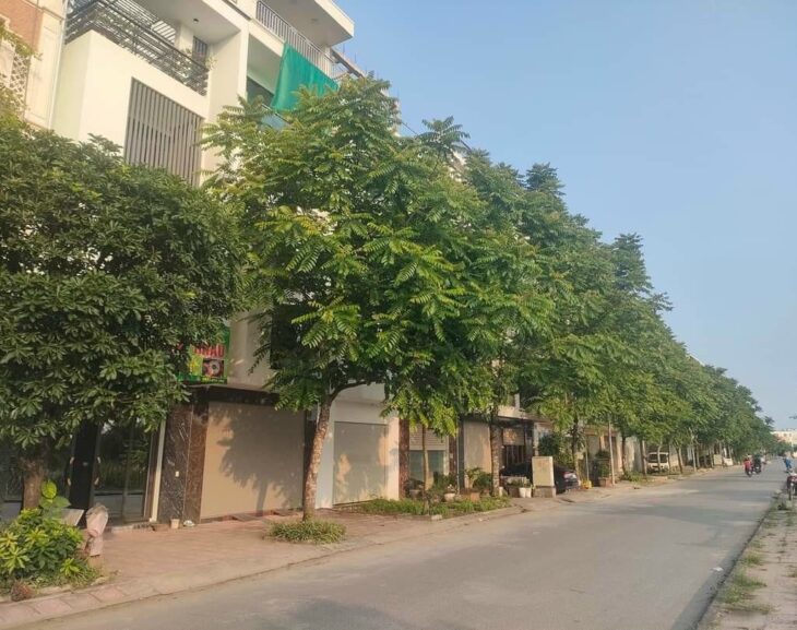 BIỆT THỰ VIP – HIẾM CÓ KHÓ TÌM – VIEW CÔNG VIÊN ĐẲNG CẤP