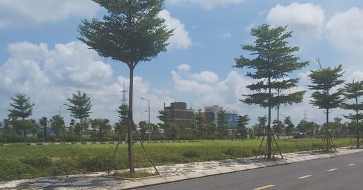 Lô Đất Vàng Hoàng Diệu – 262m² Giá Chỉ 600 Triệu, Cơ Hội Đầu Tư Đỉnh Cao!