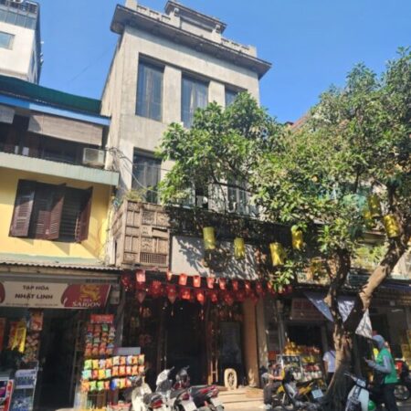 Bán nhà mặt phố Hàng Điếu 215m2, oto đỗ cửa, kinh doanh nhà hàng, gần chợ Hàng Da