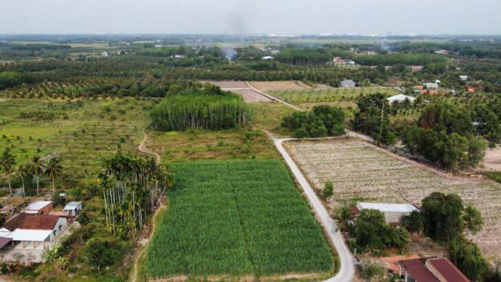 SỞ HỮU ĐẤT ĐẸP – GIÁ Tốt – Vị Trí Đắc Địa Tại : Ấp Cây Đa – Xã Hiệp Thạnh – Huyện Gò Dầu – Tỉnh